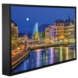 Display Aussenbreich Peerless-AV Xtreme? Outdoor Display 55 Zoll | 75.1 x 128cm | X-CITE® Werbesysteme