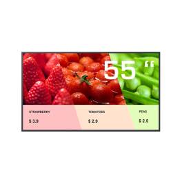 MOKA DS60P55, 55 Zoll 4K-Display, BrightSign built-in