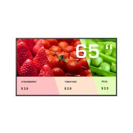 MOKA DS60P65, 65 Zoll 4K-Display, BrightSign built-in
